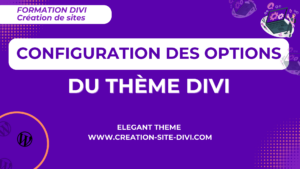 formation gratuite options thème divi